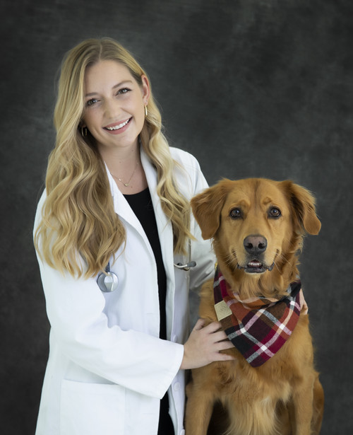 Haley Angel, DVM